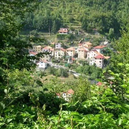 Il Non Ti Scordar Di Me Villa Valbravenna Bagian luar foto
