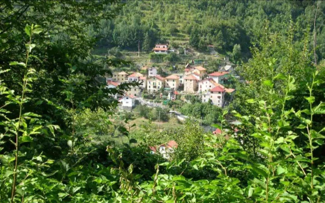 Il Non Ti Scordar Di Me Villa Valbravenna Bagian luar foto