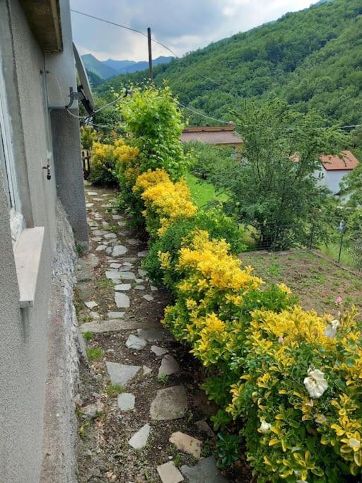 Il Non Ti Scordar Di Me Villa Valbravenna Bagian luar foto