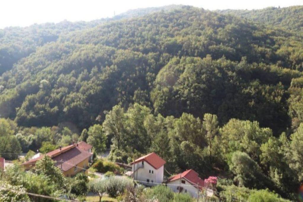 Il Non Ti Scordar Di Me Villa Valbravenna Bagian luar foto